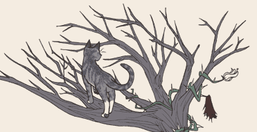 we are not out of the woods